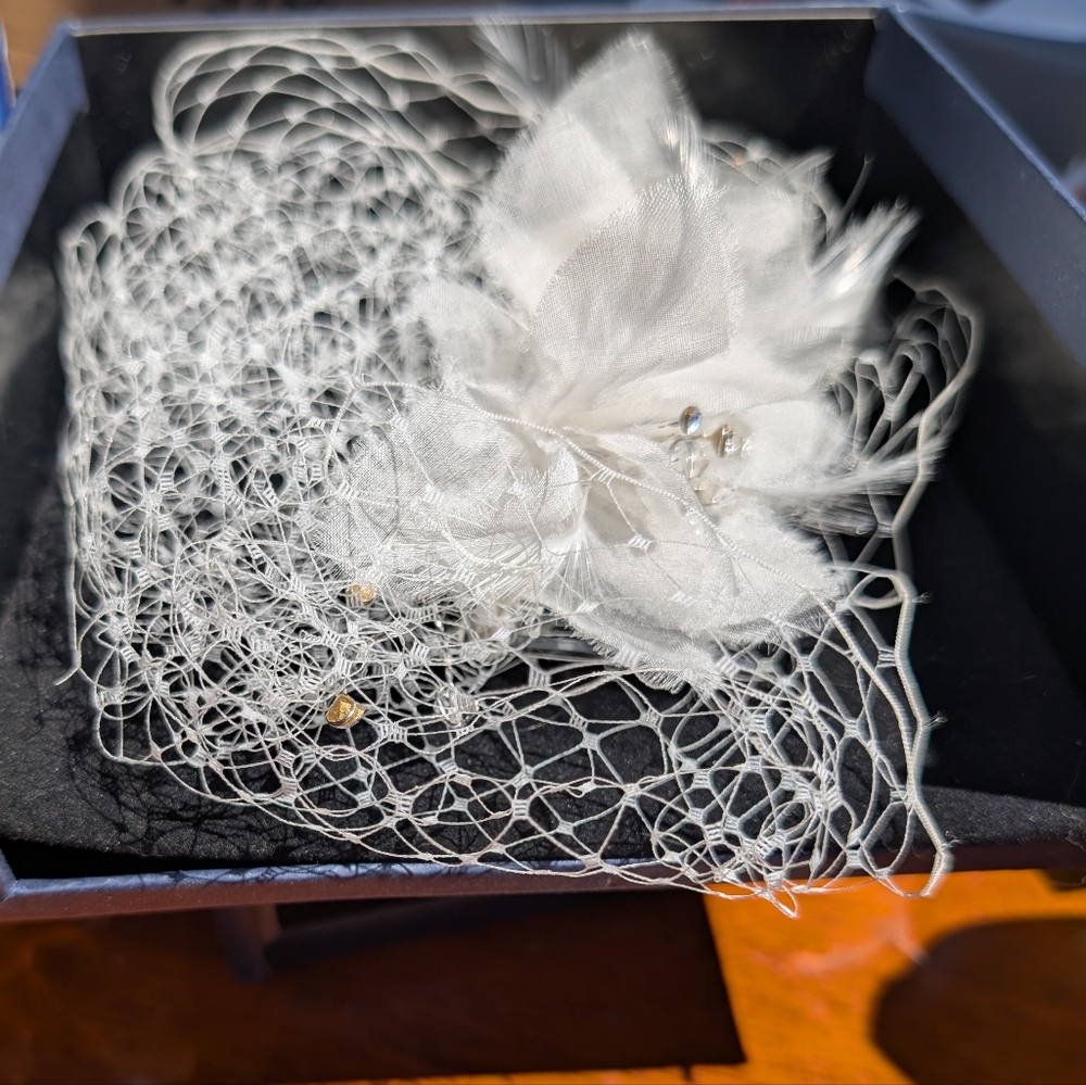 Birdcage Bridal Hair Accessory